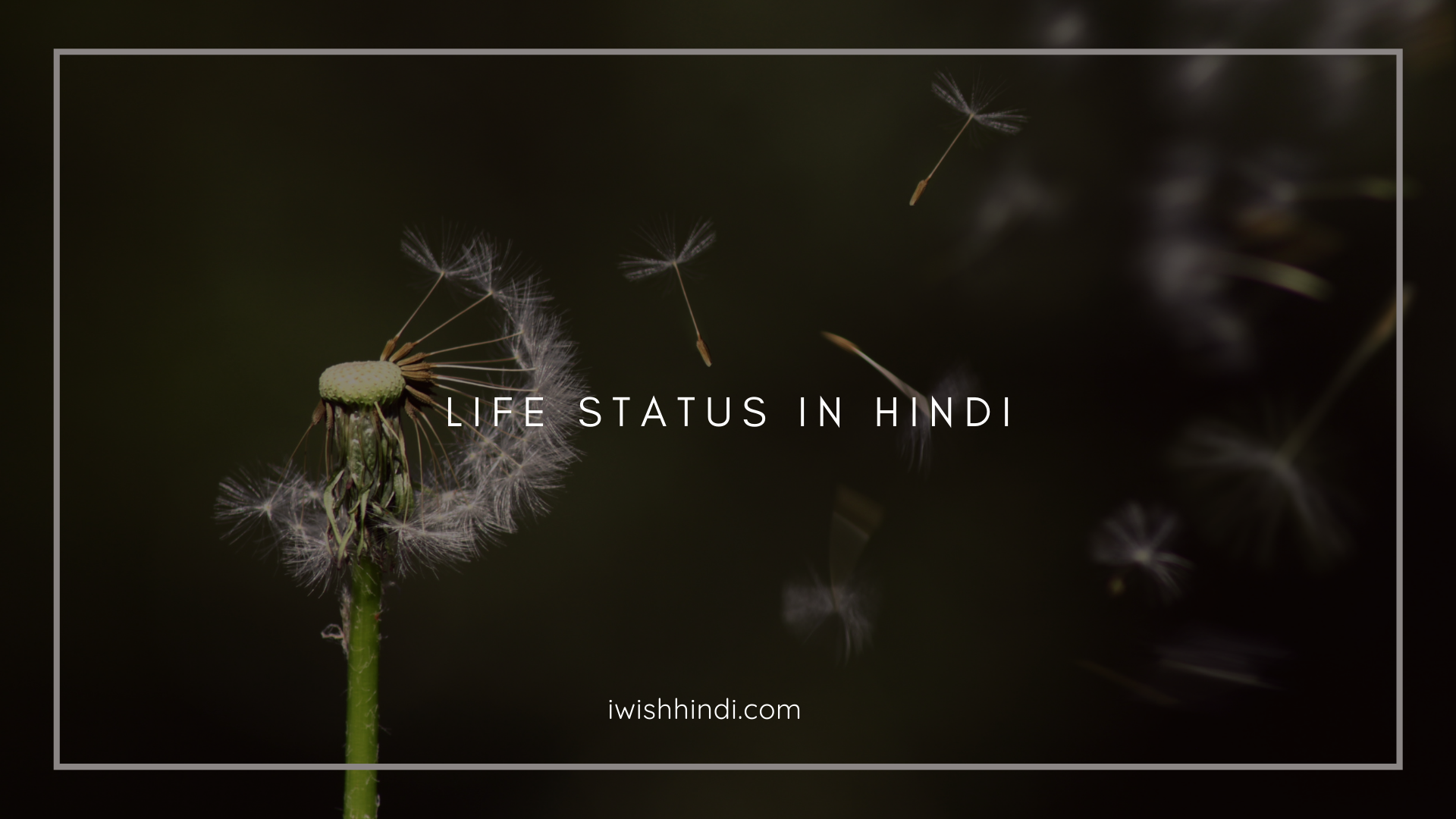 life status in hindi