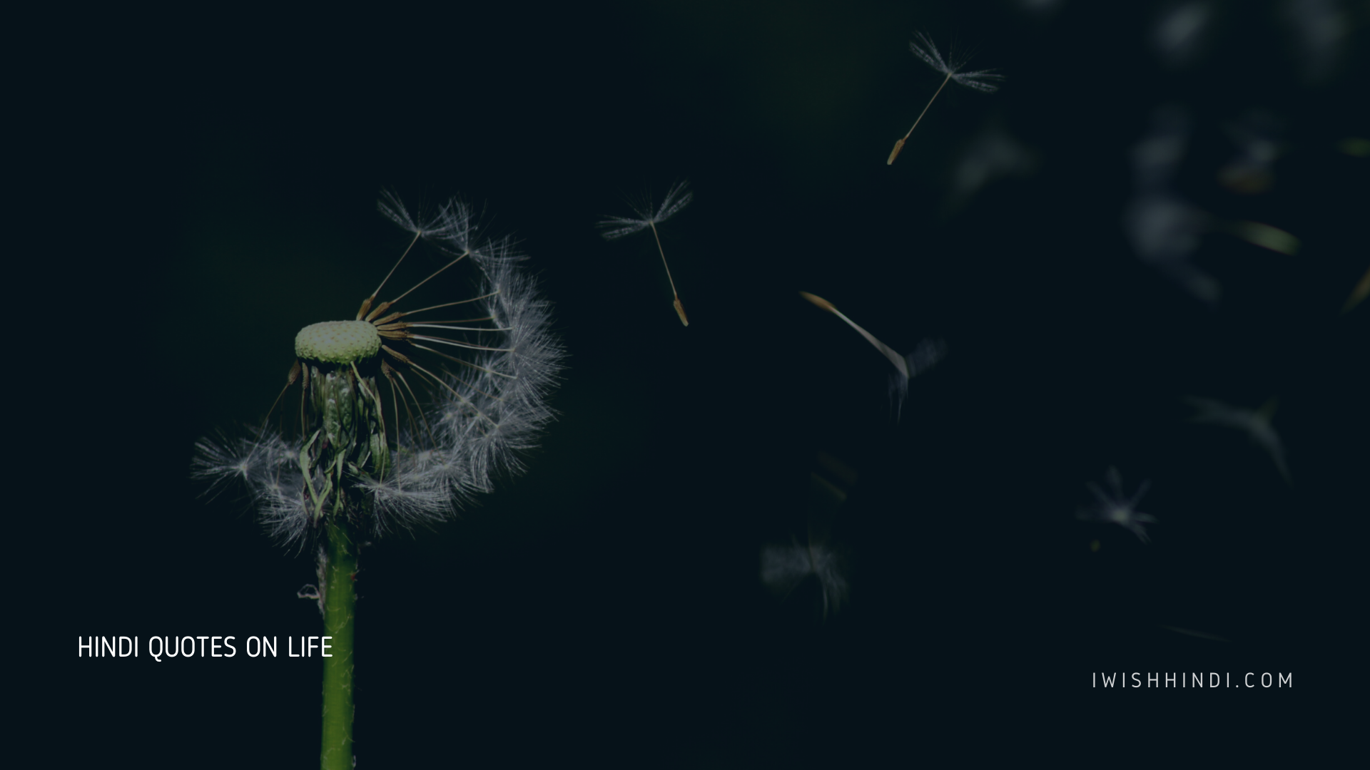 Hindi Quotes On Life