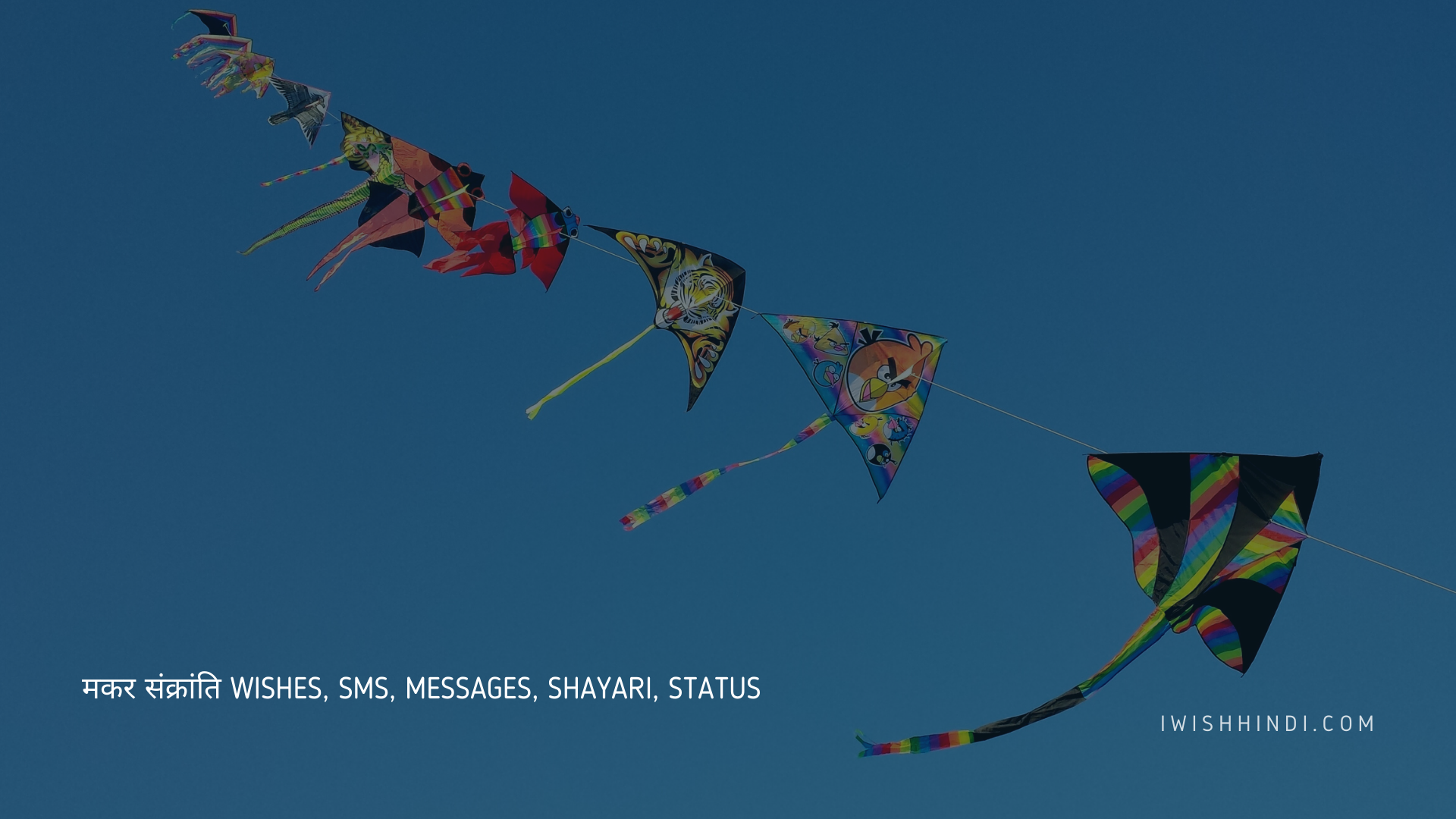 मकर संक्रांति Wishes, Sms, Messages, Shayari, Status