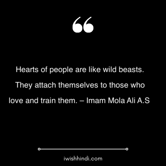 imam ali quotes in hindi 22