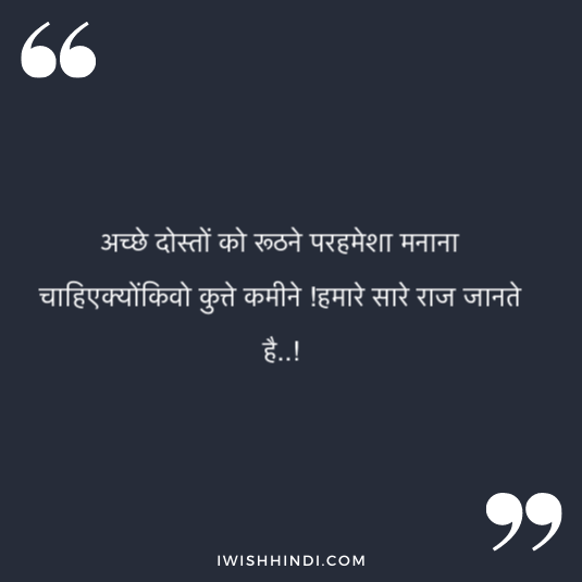 lovely best friend quotes in hindi 19