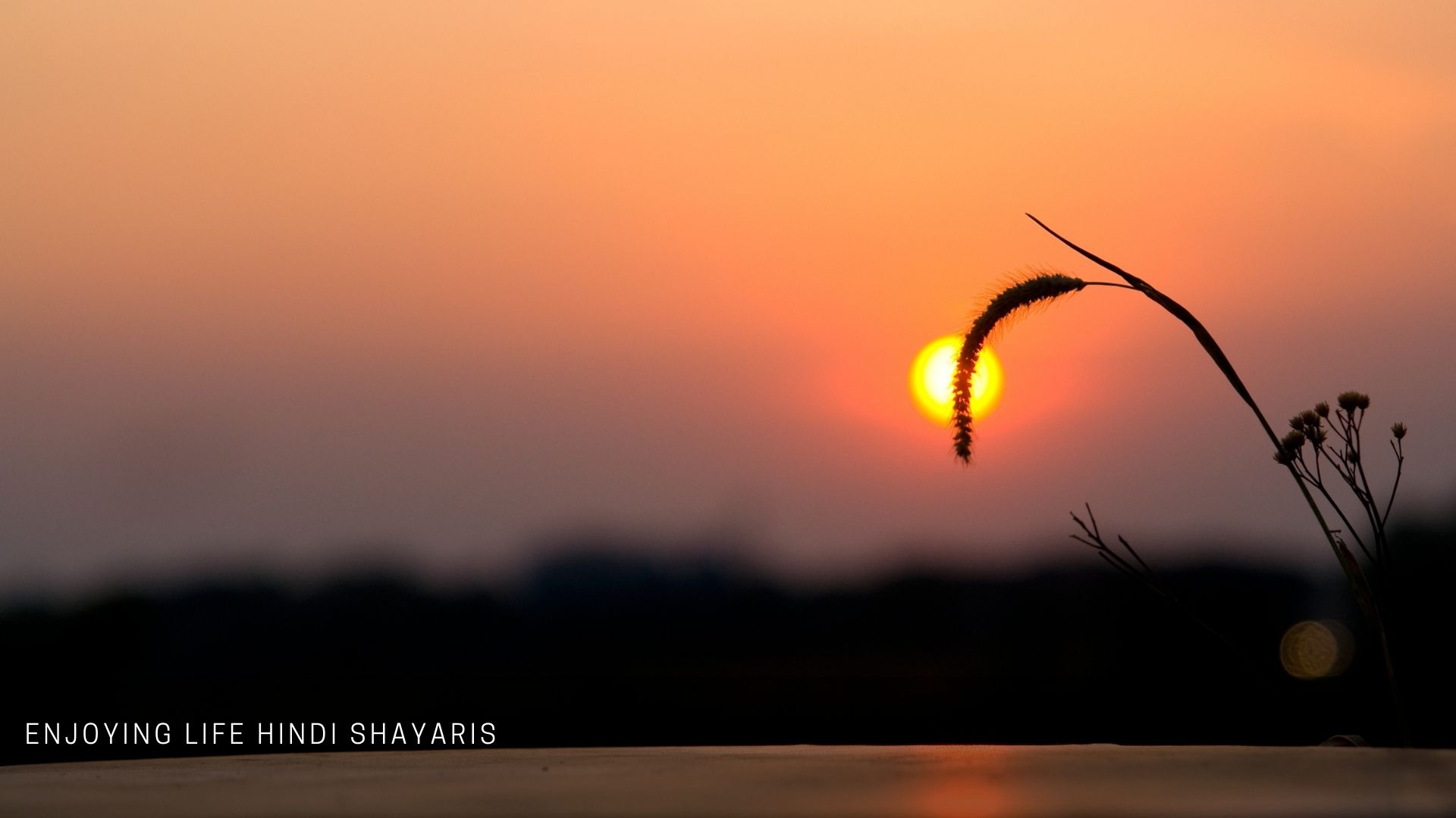 Enjoying Life Hindi Shayari With Images ( 200+ Shayari )