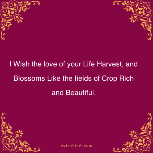 Happy Pongal Quotes & Best Wishes 1