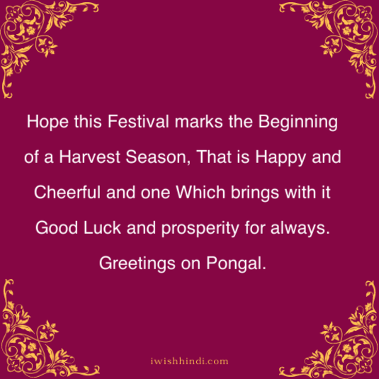 Happy Pongal Quotes & Best Wishes 10