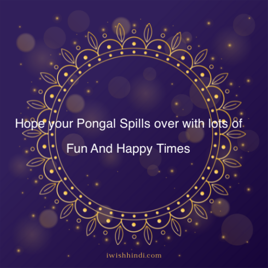 Happy Pongal Quotes & Best Wishes 15