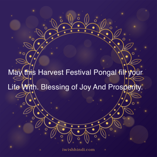 Happy Pongal Quotes & Best Wishes 16