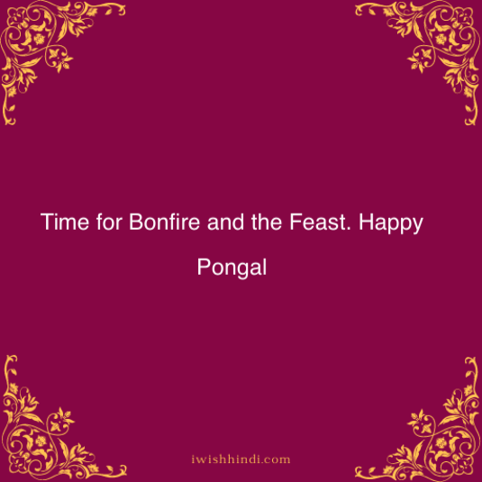Happy Pongal Quotes & Best Wishes 5