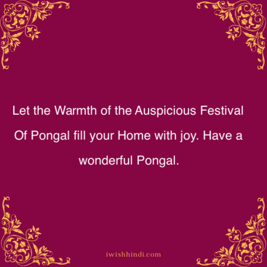Happy Pongal Quotes & Best Wishes 9