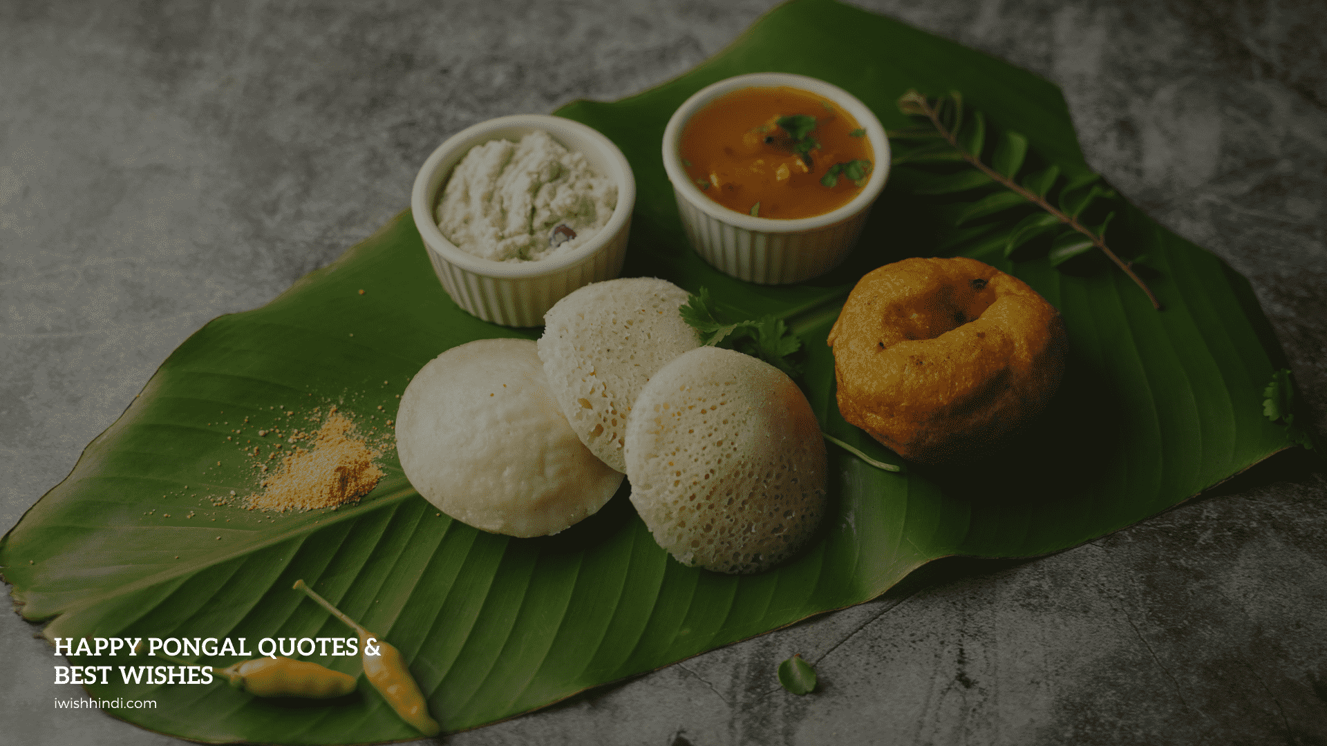 Happy Pongal Quotes & Best Wishes